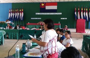 အပစ်ရပ်ကာလ စောင့်ကြည့်ရေးနှင့် ကြားကာလအခြေအနေများအပေါ် ကရင်အရပ်ဖက်အဖွဲ့များ စိုးရိမ်