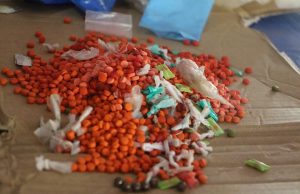 KNPF charged 300 people for drug use and trade