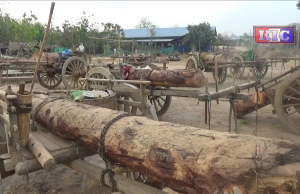 သစ်ခိုးမှုဖြင့် ဖမ်းဆီးခဲ့သည့် ရွာသား ၂၂ဦးကို ထောင်ဒဏ်နှင့် ငွေဒဏ်အသီးသီး KNU ချမှတ်