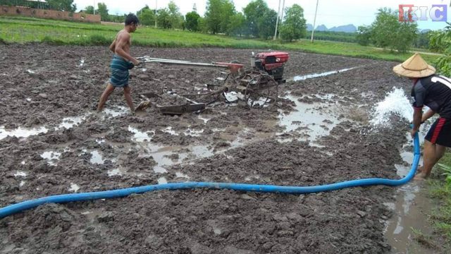 Farm