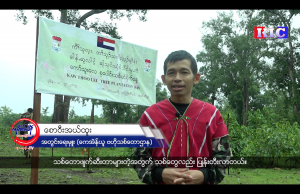 သစ်တောထိန်းသိမ်းမှုမှာ ဒေသခံတွေပူးပေါင်းပါဝင်မှု ရှိလာစေဖို့အတွက်ရည်ရွယ်ပြီး ကရင်အမျိုးသားအစည်းအရုံး-KNU ခရိုင် ၇ ခုနဲ့ ဒေသခံလူထုတွေစုပေါင်းပြီး ဖားအံခရိုင်နေရာတစ်ခုမှာ သစ်ပင်တစ်ထောင်ကျော်ကို ပထမဦးဆုံးအကြိမ် စုပေါင်းစိုက်ပျိုးခဲ့