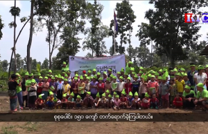 ကရင်လူငယ်နဲ့ ကျောင်းသားအဖွဲ့တွေအပါဝင် ကရင်လူထုအခြေပြုအဖွဲ့တွေ ဦးဆောင်ပြီး အပြည်ပြည်ဆိုင်ရာငြိမ်းချမ်းရေးနေ့ကို KNU ဖားအံခရိုင်မှာ ကျင်းပခဲ့