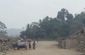 သစ်တောဌာန လုပ်သားတစ်ဦး တပ်မတော်၏ ပစ်သတ်ခြင်းခံခဲ့ရဟု KNU ပြော