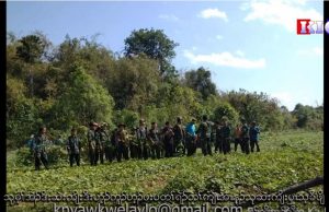 Radio Karen: (27,3,2020) Megui/Tavoy KNU Clear Over a Thousand Weed Trees.ဘိန်းစာ