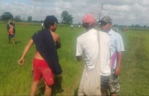 နတ်သံကွင်းဒေသ စားကျက်မြေအငြင်းပွားမှုကိစ္စ တာဝန်ရှိသူများ ဖြေရှင်းပေးရန် လိုအပ်