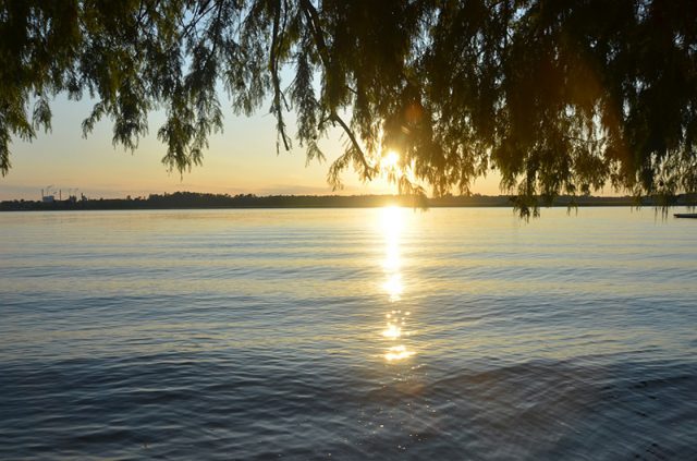 2. Sun Shine