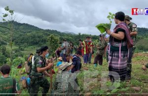 Radio Karen:ဇူလိုင် ၁ရက်နေ့ကကျရောက်တဲ့ KNU-သစ်ပင်စိုက်ပျိုးရေးနေ့ကို KNUနယ်မြေခရိုင်၊မြို့နယ်အားလုံးတွင် သစ်ပင်စိုက်မှုများပြုလုပ်။