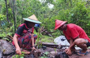 သစ်ပင်စိုက်ကြစို့ (ကဗျာ)