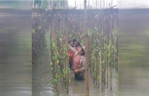 ရေကြီးမှုကြောင့် ပန်းတနော်မြို့နယ်အတွင်းရှိ ကျေးရွာတစ်ချို့တွင် ကွမ်းခြံများ ပျက်စီးဆုံးရှုံးမှုဖြစ်