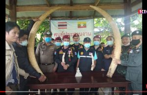 Radio Karen: (13,8,2020) DKBA Returned Stolen Historic Ivory to Thai Authority.