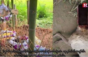 Radio Karen :Two Mutraw Villagers Among Five Who were Bitten by Rabid Dogs Died.