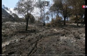 Radio Karen: Locals Fruit Tree Gardens Destroyed by Forest Department Officials Burning, Hard to .