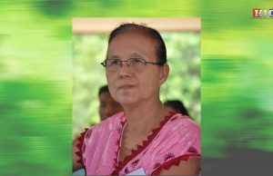 ဂေဘားကရင်စာပေနှင့်ယဉ်ကျေးမှုအဖွဲ့ ဒုဥက္ကဋ္ဌ နော်မေးလ်ထာနှင့် မေးမြန်းခြင်း