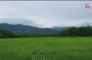 ကွင်းကလေး(ယွာဖိုး)တွင် စစ်ကောင်စီတပ်နှင့် KNLA တပ်မဟာ (၆)ကြား တိုက်ပွဲ ဖြစ်ပွား