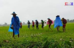 လှိုင်းဘွဲမြို့နယ်၊ တာပေါင်ရွာသားများ ပေါ်တာဆွဲခံရမည်စိုး၍ ထွက်ပြေး