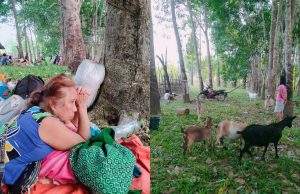 ခလယ်-တံခွန်တိုင်ကျေးရွာများမှ ဒေသခံ ၃ဝ ကျော် စစ်ကောင်စီတပ် ဖမ်းဆီးခေါ်ဆောင်