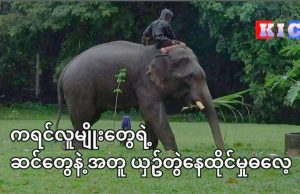ကရင်လူမျိုးတွေရဲ့ ဆင်တွေနဲ့အတူ ယှဉ်တွဲနေထိုင်မှုဓလေ့