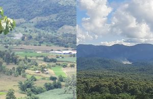 ဖလူး-ဝေါလေ ၃ ထပ်ကွေ့အား မြေပြင်နှင့်လေကြောင်း ပူးပေါင်းတိုက်ခိုက်နေသဖြင့် တိုက်ပွဲပြင်းထန်ပြီး နှစ်ဖက်အကျအဆုံးရှိနေ