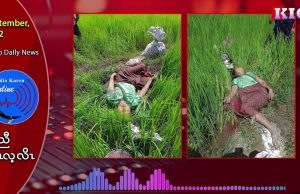 An IDP woman killed by Burmese Army’s artillery while retrieving food in KNU Brigade (3)