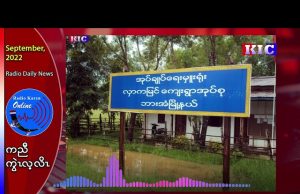 1 civilian was injured in an explosion in Hlyar Kamyin village in Hpa An
