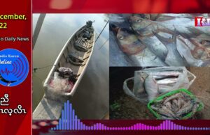 Fish market is not stable, and the livelihood of fishermen from Pai Kyoung are in hardship