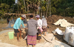 ကော့ကရိတ်တောင်ပိုင်းကျေးရွာများတွင် မြေပဲဈေးကောင်းရနေ