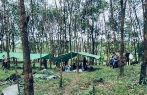 အရှေ့တောနယ်ဒေသရှိ စစ်ဘေးရှောင် ပြည်သူများ ရိက္ခာပြတ်လပ်လာနေ
