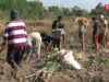More than 30 people Arrested and beaten Since Martial Law Imposed in Kyainseikgyi Township