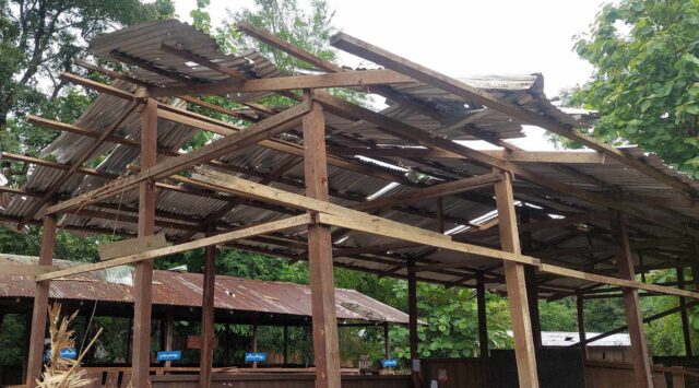 Damaged Roof