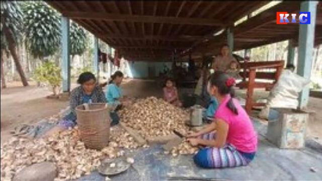 KKBetel-Nut
