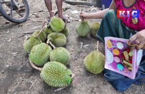 တၢ်သဘံၣ်သဘုၣ်အဖီခိၣ် ကြုၢ်တုကီၢ်ဆၣ်ဟီၣ်က၀ီၤ ကမျၢၢ်ပၥ်ဖျါထီၣ်အတၢ်တူၢ်ဘၣ်