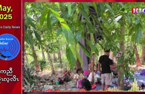 ကျိဖးဒိၣ်အဃိယ့ဖၠူၣ်ဟီၣ်ကဝီၤ ဒူသဝီ(၈)ဖျၢၣ် ကမျၢၢ်လၢအကထိဘၣ်ဃ့ၢ်ထီၣ်ဝဲ