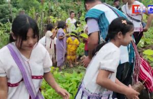 ဗဟို သစ်တောဌာနမှ ဦးဆောင်ပြီး ၈ကြိမ်မြောက်ကော်သူးလေစုပေါင်းသစ်ပင်စိုက်ပွဲ ပျော်ပျော်ရွင်ရွင်ကျင်းပခဲ့