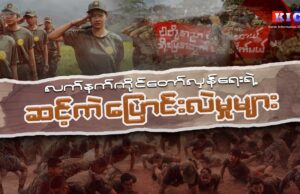 လက်နက်ကိုင်တော်လှန်ရေးရဲ့ ဆင့်ကဲ ပြောင်းလဲမှုများ