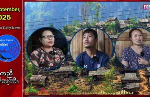 တၢ်ပတုၥ်တၢ်မၤစၢၤအတီၢ်ပူၤတၢ်ကီတၢ်ခဲဒီးကန့ၢ်လဲၤမၤဘၣ်တၢ်အဖီခိၣ် ပှၤဒဲကဝီၤဖိအကလုၢ်