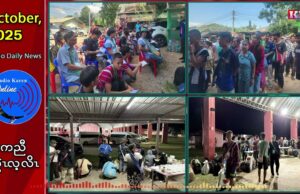 မဲၢ်လးဒဲကဝီၤပူၤကမျၢၢ်လၢကလဲၤမၤကထံပိၥ်ဒီးလါမယါကျီးတၢ်မၤတဖၣ်စးထီၣ်ဟးထီၣ်တနီၤလံ