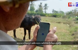 Some Starlink internet services near Thai border in Karen State have been shut down