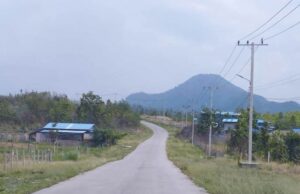 ကျားဖြန့်လုပ်ငန်းများ သေ့ဘောဘိုးဒေသတွင် ပြန်လည်အခြေချရန် လုပ်ဆောင်နေကြောင်း ဒေသခံများပြော