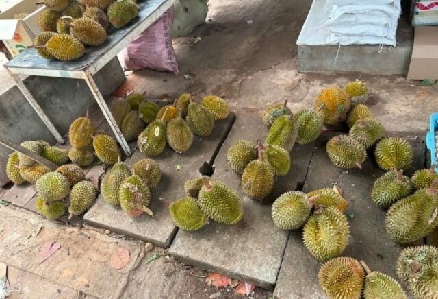 Durian