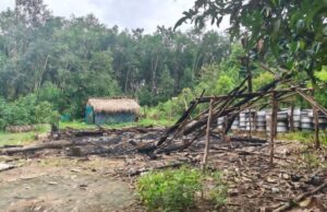 ဘီးလင်းတွင် စစ်အုပ်စုက အရပ်သားနေအိမ်(၆)လုံးကို မီးရှို့ပြီး ပြည်သူ (၂) ဦးကို ဖမ်းဆီး