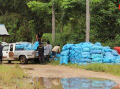 သေ့ဘောဘိုးတွင် ပြောင်းစိုက်ဧရိယာ လျော့နည်းလာ၍ လုပ်သားများ ကာစီနိုနှင့် ကျားဖြန့်ဆောက်လုပ်ရေးလုပ်ငန်းများသို့ ပြောင်းရွှေ့လုပ်ကိုင်