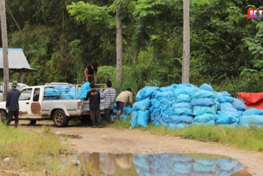 သေ့ဘောဘိုးတွင် ပြောင်းစိုက်ဧရိယာ လျော့နည်းလာ၍ လုပ်သားများ ကာစီနိုနှင့် ကျားဖြန့်ဆောက်လုပ်ရေးလုပ်ငန်းများသို့ ပြောင်းရွှေ့လုပ်ကိုင်