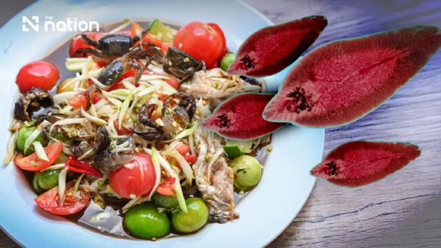 ThaiFood2