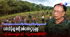 ကော်သူးလေ သစ်တောထိန်းသိမ်းရေးနှင့် စိန်ခေါ်မှုများအပေါ် ကေအဲန်ယူ ဗဟိုသစ်တောဌာနမှူး ပဒိုမန်းဘထွန်းနှင့် တွေ့ဆုံမေးမြန်းခြင်း။