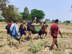ညောင်လေးပင်ခရိုင်တွင် တစ်လအတွင်း စစ်အုပ်စု တိုက်ခိုက်မှုကြောင့် အရပ်သား ၅ ဦး သေဆုံးပြီး ၆ ဦး ဖမ်းဆီးခံရ