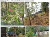 BGF နှင့် DKBA ထိန်းချုပ်နေရာ ကျားဖြန့်ရုံးခန်းများတွင် လူပေါင်း (၁၃,၀၀၀) ထက်မနည်း ပိတ်မိနေ