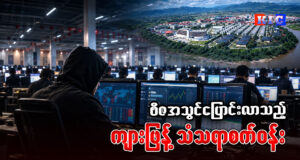 ဗီဇအသွင်ပြောင်းလာသည့် ကျားဖြန့်သံသရာစက်ဝန်း